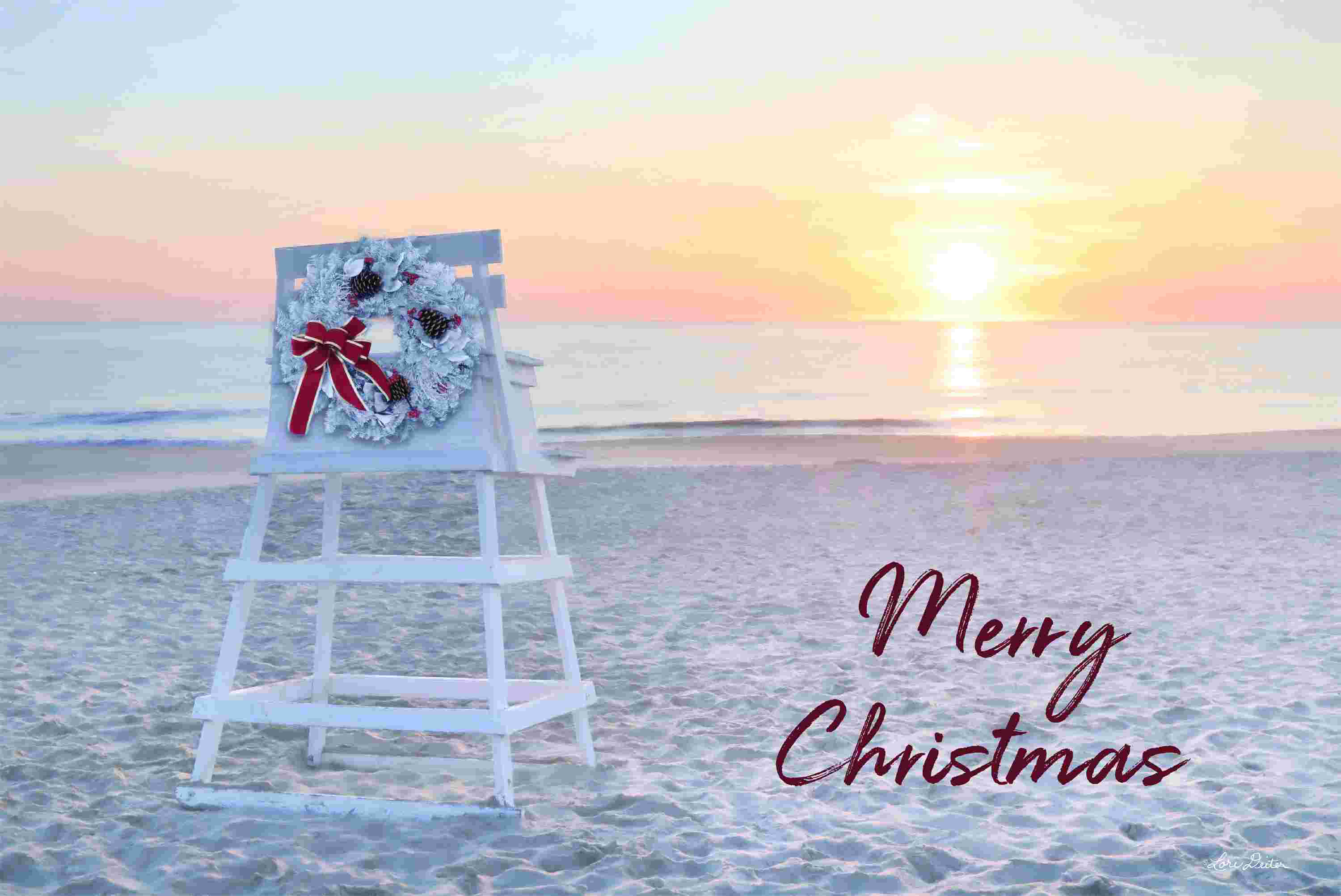 The Holiday Aisle® Merry Christmas Beach Sunrise | Wayfair