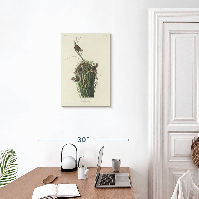Keiri Marsh Wren, 24" H x 16" W