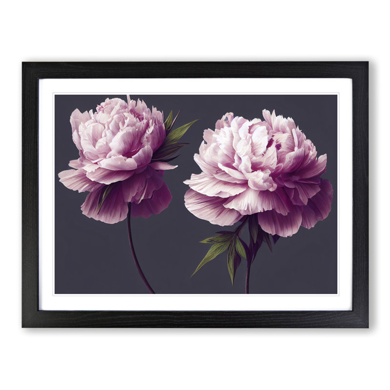 Tranquil Peony Flowers - Single Picture Frame Print, 46cm H x 64cm W x 2cm D, Black Framed