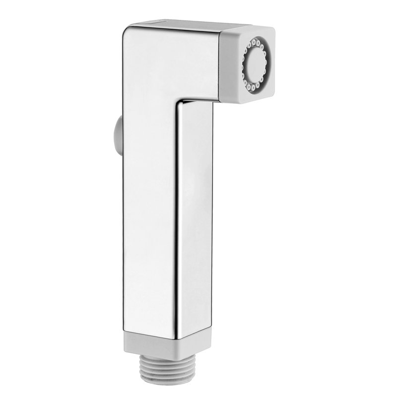 Blacke Rain Fixed Shower Head