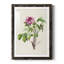 «Pretty Botanicals V», cadre photo-2143446297-2143446279