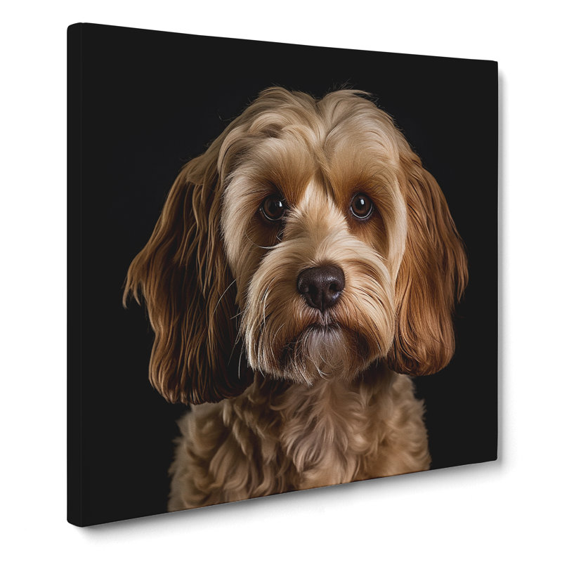 Cockapoo Photograph - No Frame Print