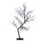 Cherry Lighted Display