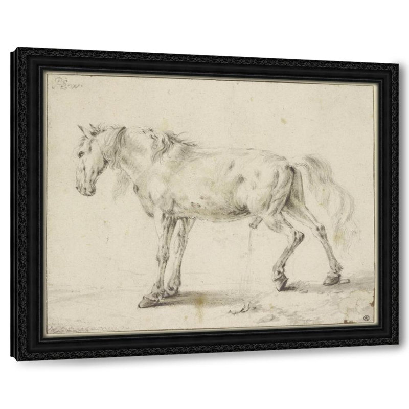 Peeing horse