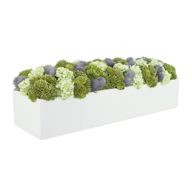 Sedum et chardon disposés dans un pot de fleurs rectangulaire