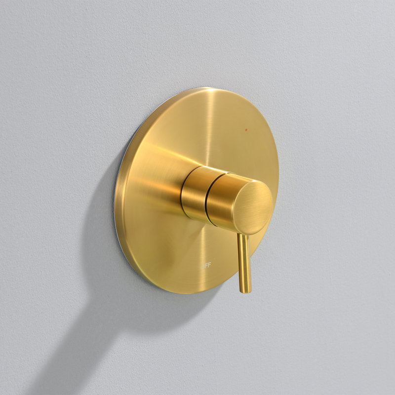Single Handle 1-Spray Shower Faucet with Valve, Brushed Gold