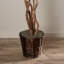 72'' Faux Tree in Wicker/Rattan Basket