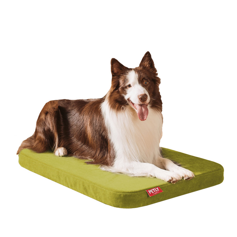 Orthopedic Microfibre Pet Bed, Green, Medium (80cm W x 60cm D)