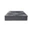 Restonic Comfort Care Hybrid Restful Nights Euro Top Plush