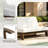 Polett 43.9'' Wide Outdoor Loveseat with Cushions-910115289-908173300