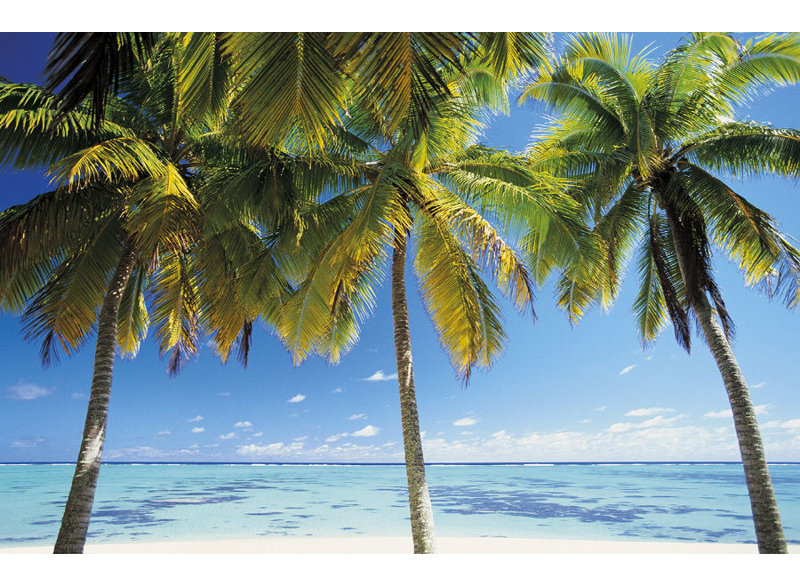 Raratonga I Print by Peter Adams, Image Brush Gel, 24" H x 37" W x 1.5" D