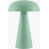 Seafoam