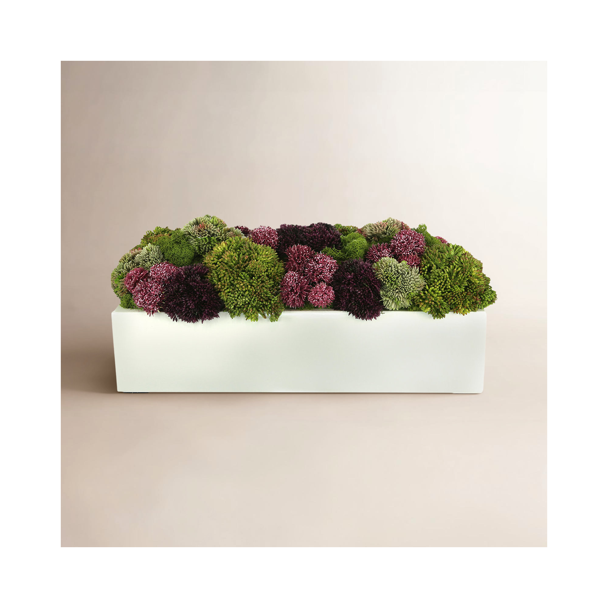 Multi Colored Sedum In White Planter, Rectangular, 8" H x 18" W x 10" D