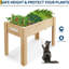Planter-1666203703