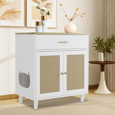 Cat Litter Box Enclosure