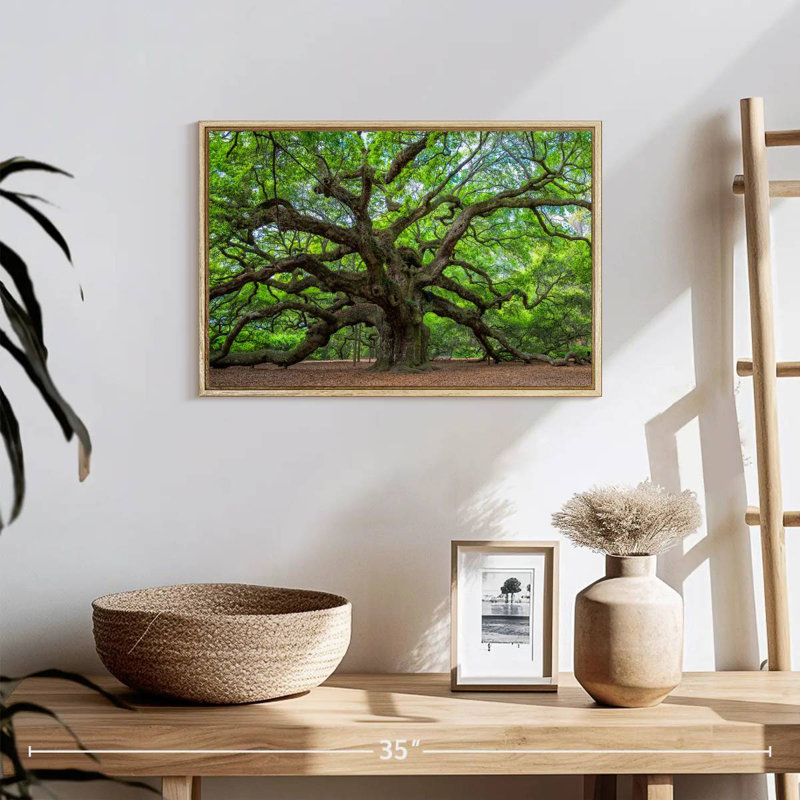 Vieux chêne, 19 po x 13 po, Cadre flottant en bois naturel