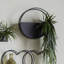 Vorodan Wall Planter (Set of 2)