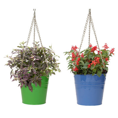 Arnkell Metal Hanging Planter