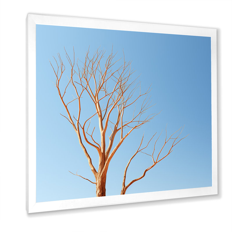 «Blue Timbers Trace Photo I», reproduction sur toile, H 24 po x l 24 po x P 1 po, Cadre simple blanc