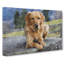 Golden Labrador Dog Vol.2 - Wrapped Canvas Print-61852524