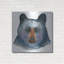 «Black Bear» par Jeannine Saylor-302127667