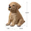 Statue chiot 10 po Labrador