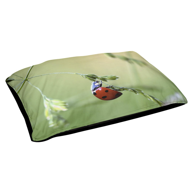 Coussin pour chien d’extérieur coccinelle Waugh, l 29,5 po x P 19,5 po x H 9,5 po