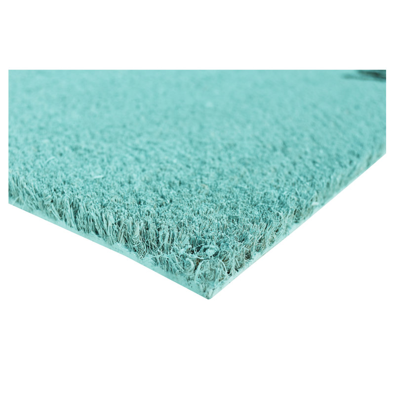 Tapis d'entrée antidérapant Kasper, L 24 po x L 36 po, Cyan