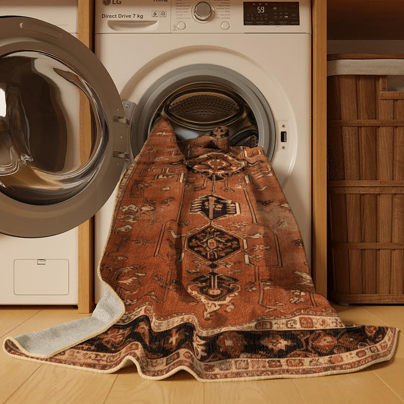 Tapis brun lavable à la machine, Rectangle 5 pi x 7 pi