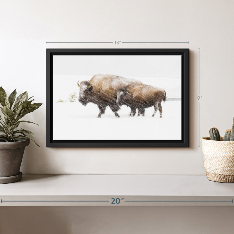 «Bison In Yellowstone National Park», art mural, H 9 po x l 13 po