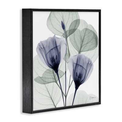 Contemporary Eucalyptus & Herbs Framed Giclee, design by Albert Koetsier