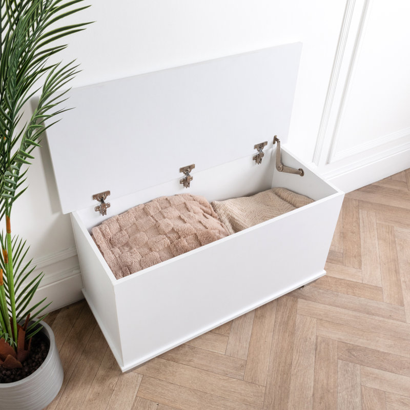 Solid + Manufactured Wood Blanket Chest, White