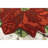 Anayssa Floral Kitchen Mat-1393587169