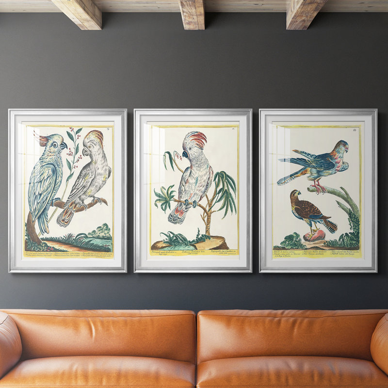 Oiseaux pastel I - impression encadrée de qualité supérieure sur mesure mat - 3 pièces, H 15 po x l 19 po, Argent argent
