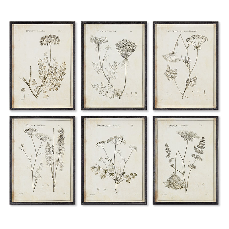 Wild Flower Wall Art