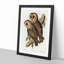 Masked Barn Owls by Elizabeth Gould - Framed Print-55575605-55575606