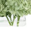 Arrangement floral d'hortensias dans un vase