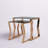 Xander Glass Top 2-Piece Nesting Tables-1752825338