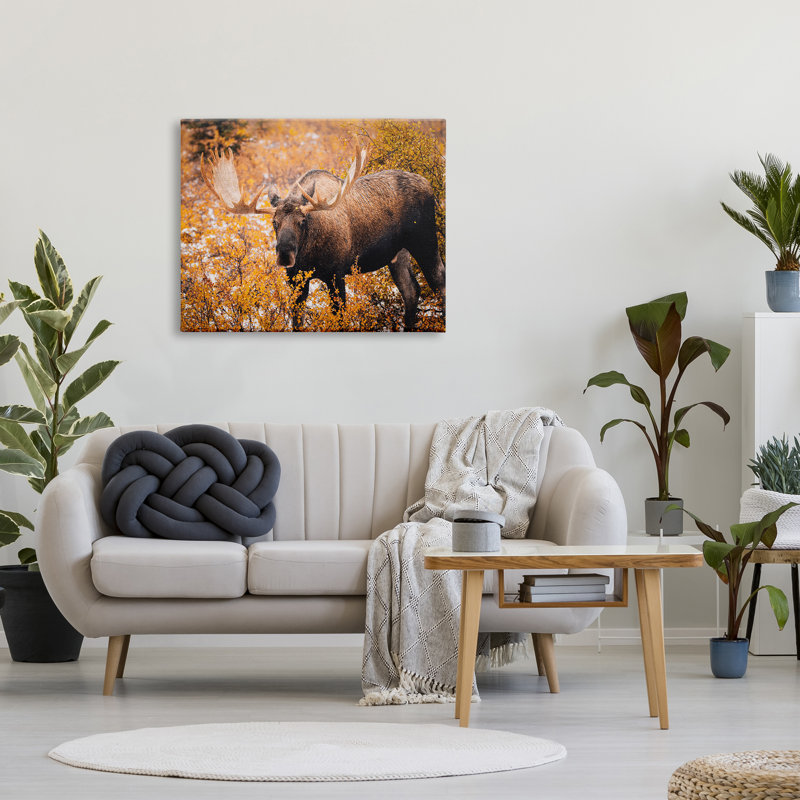 «Moose In Autumn Foliage» par Daniel Sproul, H 30 po x l 40 po x P 1,5 po