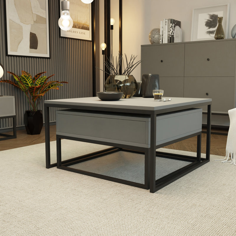 Taray Coffee Table with Storage, Grey