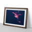 The Octopus in Abstract - Picture Frame Graphic Art Print-55763543-55763545
