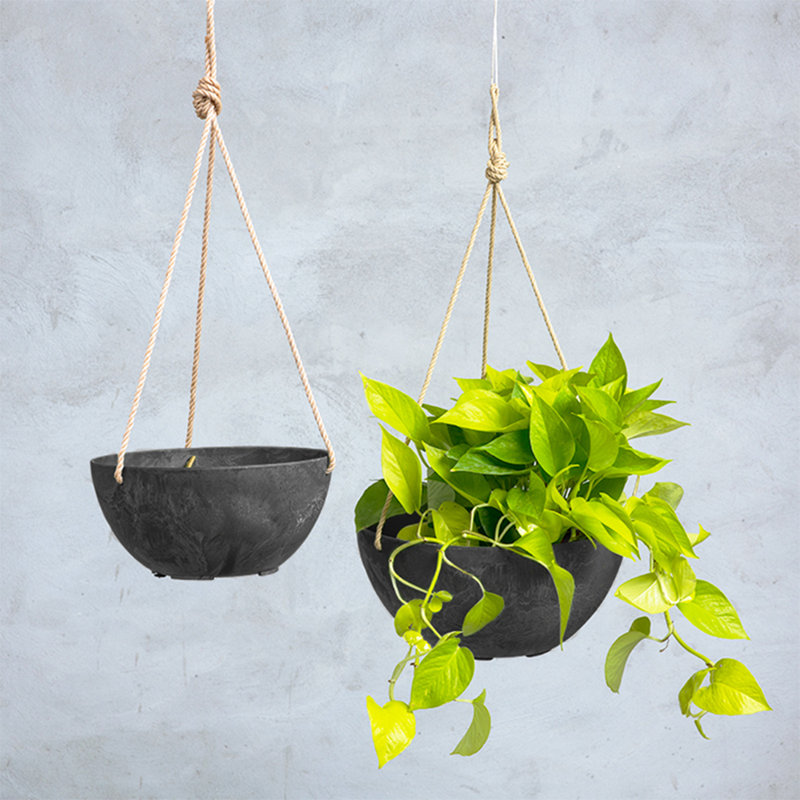 Pollyanna Hanging Planter, 4.75" H x 10" W x 10" D, Black