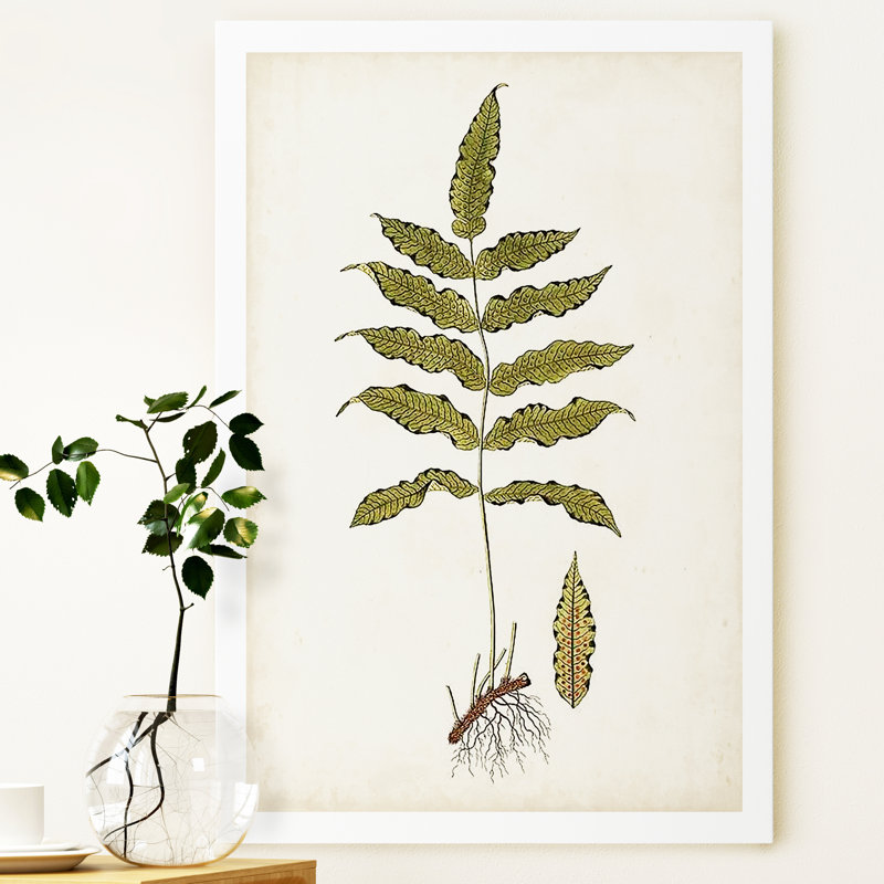 Fern Botanical III - Wrapped Canvas Print, 12" H x 8" W x 1" D, Wrapped Canvas