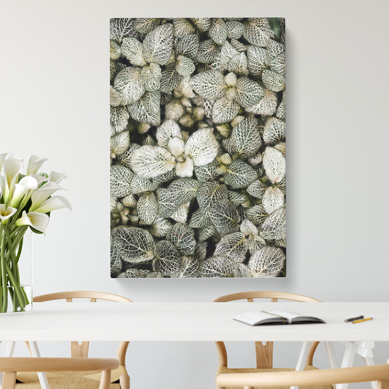 Plant Leaves Abstract - Wrapped Canvas, 60cm H x 40cm W x 3cm D