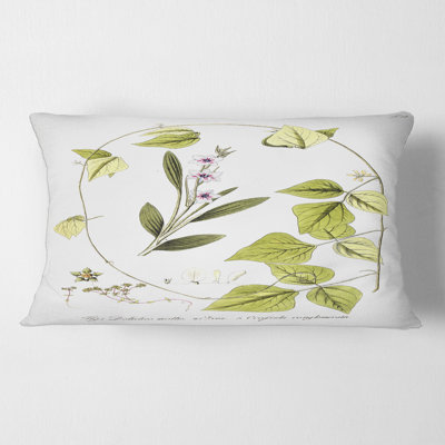 Vintage Botanicals XXI - Traditional Printed Pillow