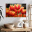 Tulipes rouges Harnek-107708706