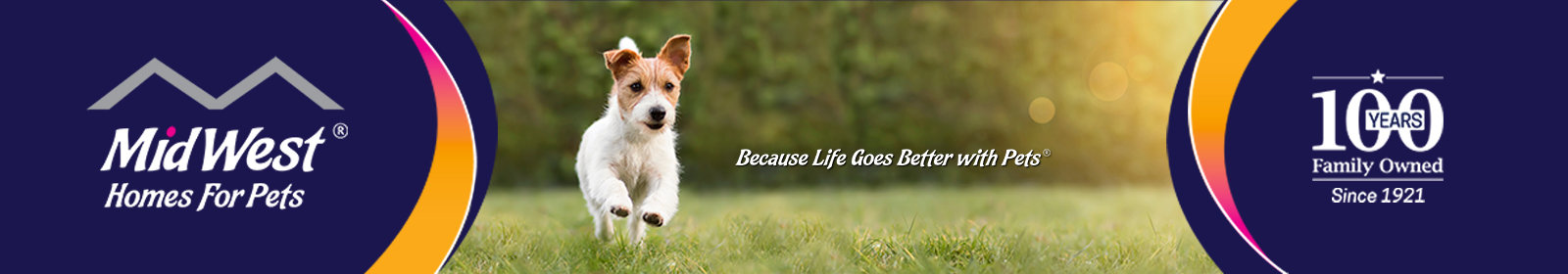 Cute dog running in a field. MidWest Homes for Pets 100 Years Family Owned