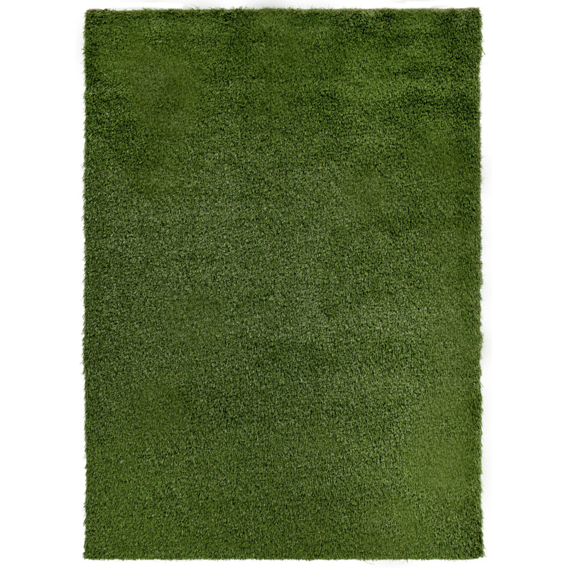 Tapis en gazon synthétique Trumbull, Rectangle l 5 pi x P 7 pi