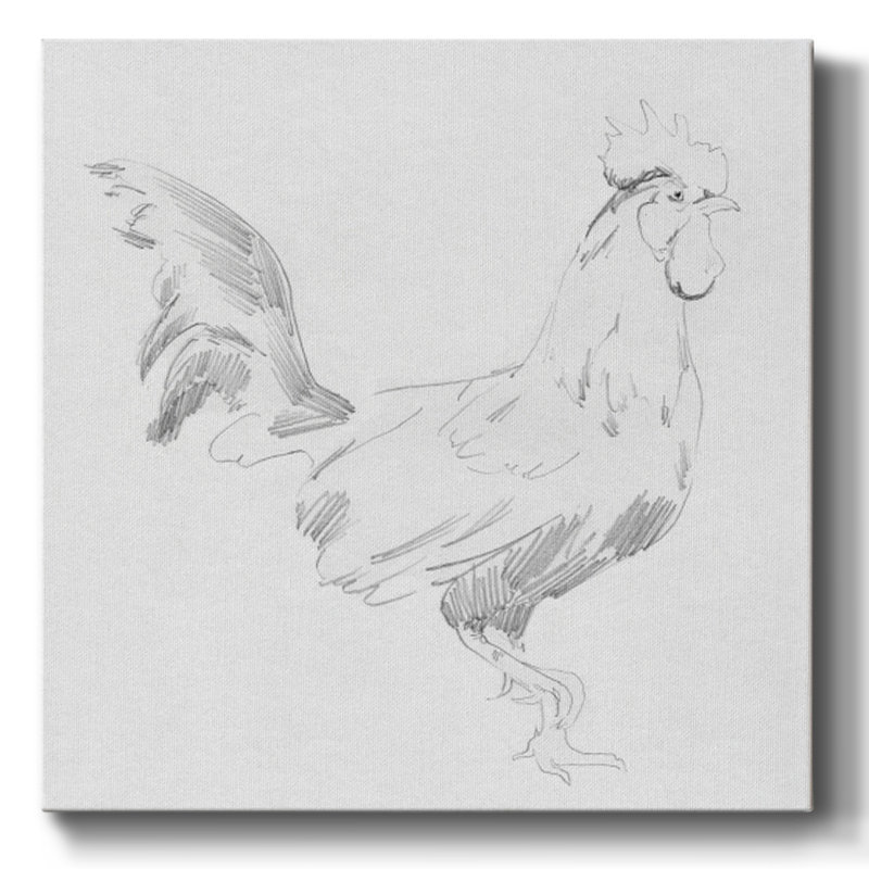 «Big Rooster S croquis I» sur toile, H 24 po x l 24 po