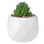 Plante succulente artificielle en pot 4 pièces